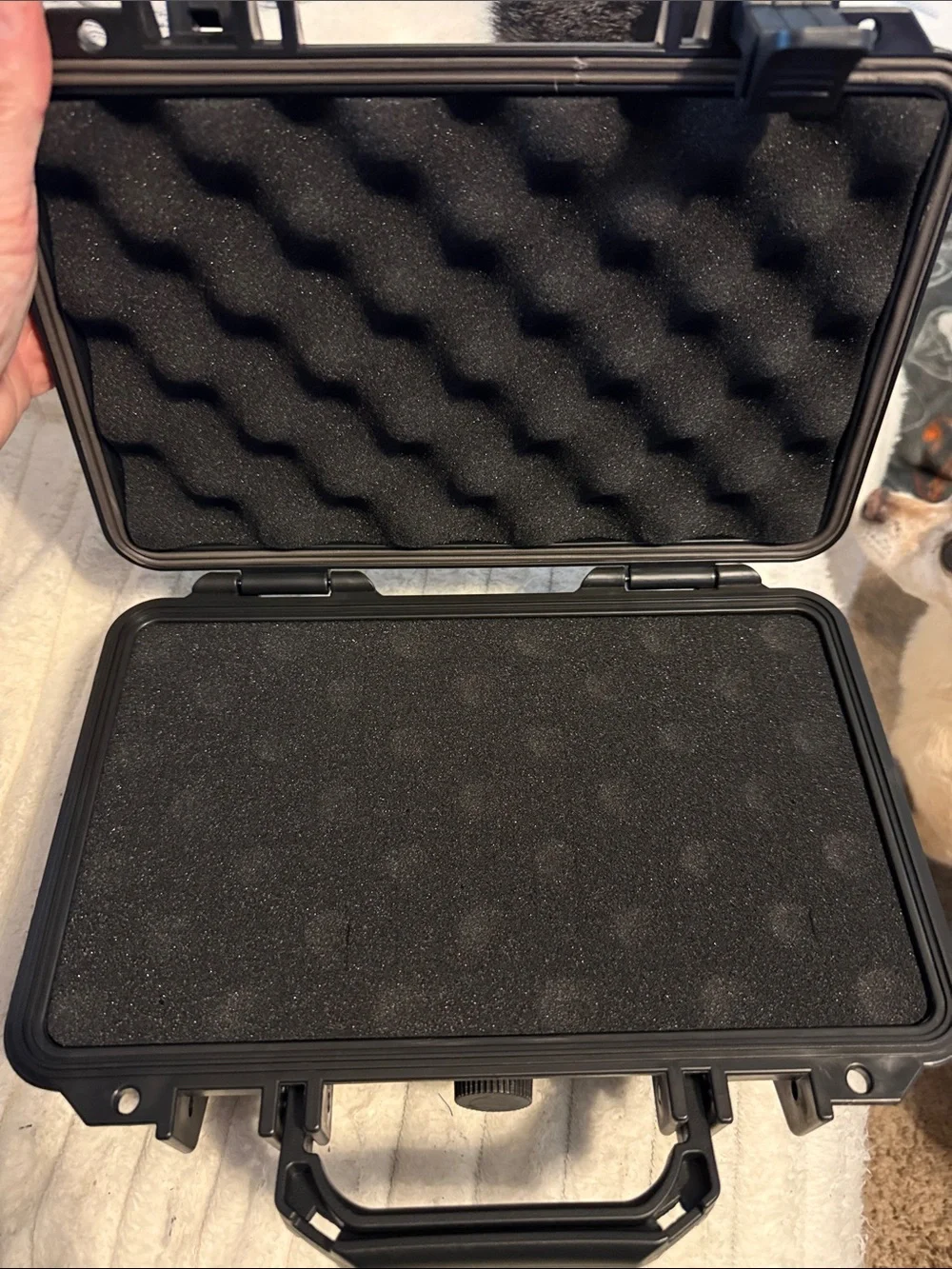 Protective Hard Case with Foam Insert - Black